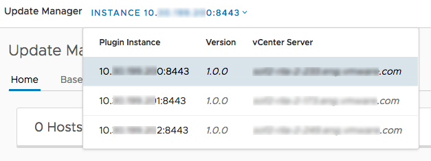 This screenshot shows a selector widget for the single plug-in instance per vCenter Server topology.