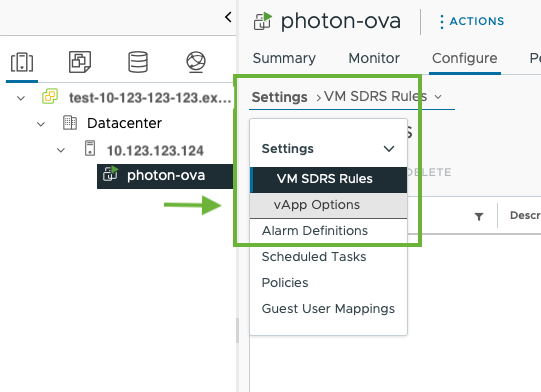 Screenshot shows menu selection to configure VApp Options.